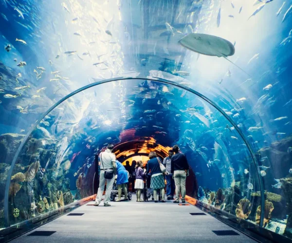 Dubai Aquarium And Underwater Zoo