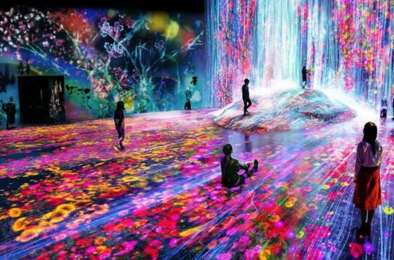 Theatre Of Digital Art